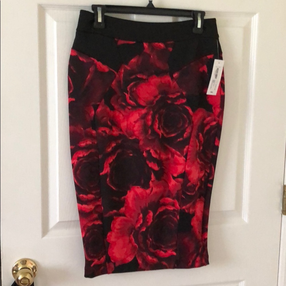 Bisou Bisou brand new Skirt and top